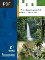 Informe Geoambiental Carabobo Puerto Cabello