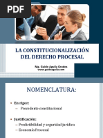 La Constitucionalizacion Del Derecho Procesal