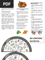 Triptico Lonchera Escolar