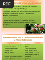 Lineas Produccion Mango Frutas