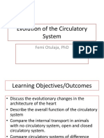 Evolution of The Circulatory System