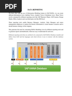 SAP Data Reporting Documentation