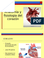 Anatomia Del Corazon y Vasos Grandes