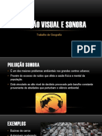 Poluição Visual e Sonora