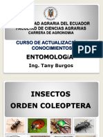 Insectos Orden Coleoptera