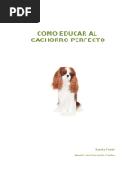 EduCar Cachorro