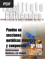 CONSTRUCCIONES METALICAS Y de MADERA Pandeo en Secciones Metálicas Simples y Compuestas