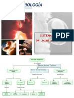 Embriologia - Sistema Nervioso