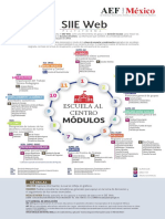 Siieweb Infografías 250618