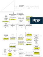 2.stemi Pathway