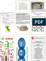 Triptico Sismo