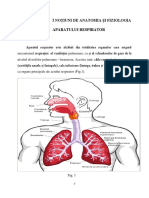 Angina Streptococica