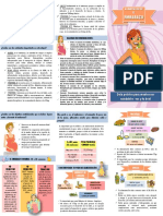  Alimentación en El Embarazo Folleto