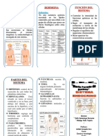 Triptico Sistema Endocrino