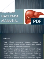 Organ Hati Pada Manusia