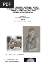 11 Sem. VINCULO PRENATAL