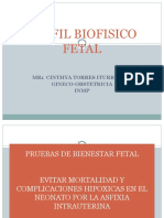 Perfil Biofisico Fetal Exposicion1