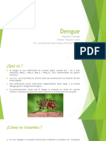 Dengue Power Point