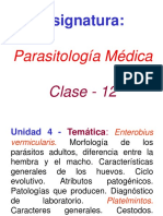 Presentación - Clase 12