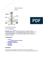 PDF Документ