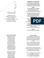 PDF Documento