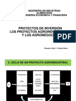 Proyectos de Inversión