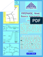 Guia de PIPEPHASE BI Presentacion