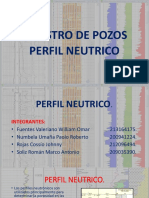 Perfil Neutronico