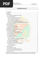 Resumen Ejecutivo