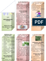 Leaflet Rematik