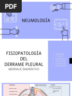 Derrame Pleural