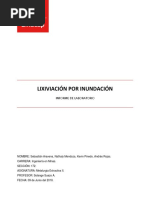 Informe Lix. Inundación