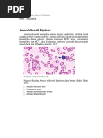 DDAnemia Mikrositik Hipokrom