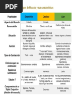 Caracteristicas de Los Musculos