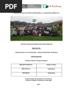 Informe de Practicas Pre-Profesionales