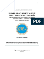 Pasto Camerúm (Monografia)