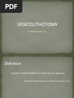 RID - Vesicolithotomy