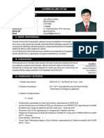 Curriculum Vitae Daniel Gallardo