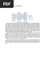 Neural and Social Networks