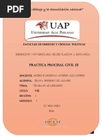 PRACTICA PROCESAL Civil III