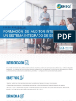 Formación de Auditores Internos en Un SIG