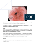 Esófago de Barrett HISTOOGIA