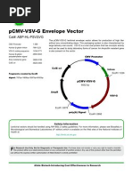 PCMV-VSV-G Vector