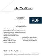 DIA 13 - Vesícula y Vías Biliares Nuñez Ju 2018