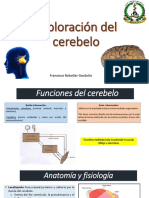 Exploración Cerebelo