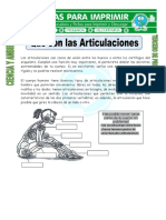 Ficha de Que Son Las Articulaciones para Tercero de Primaria (1) (Reparado)