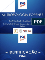 Anatomia Da Pelve em Antropologia Forense