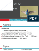 Introduction To Wildlife Photography