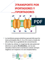 Biología Celular