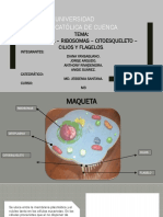 Exposición Biología